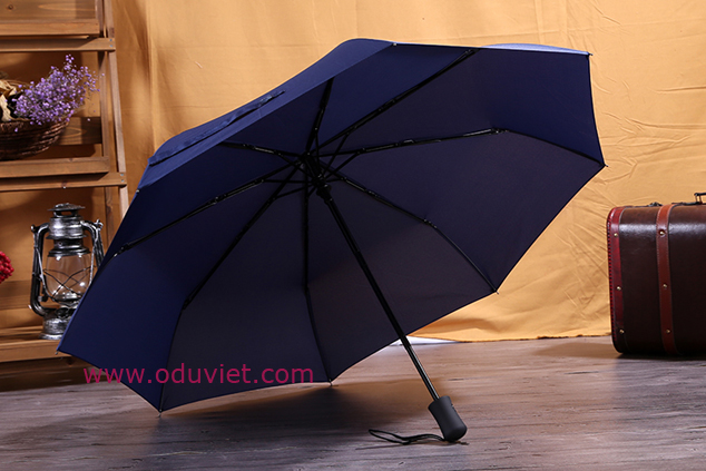 ô dù xanh navy